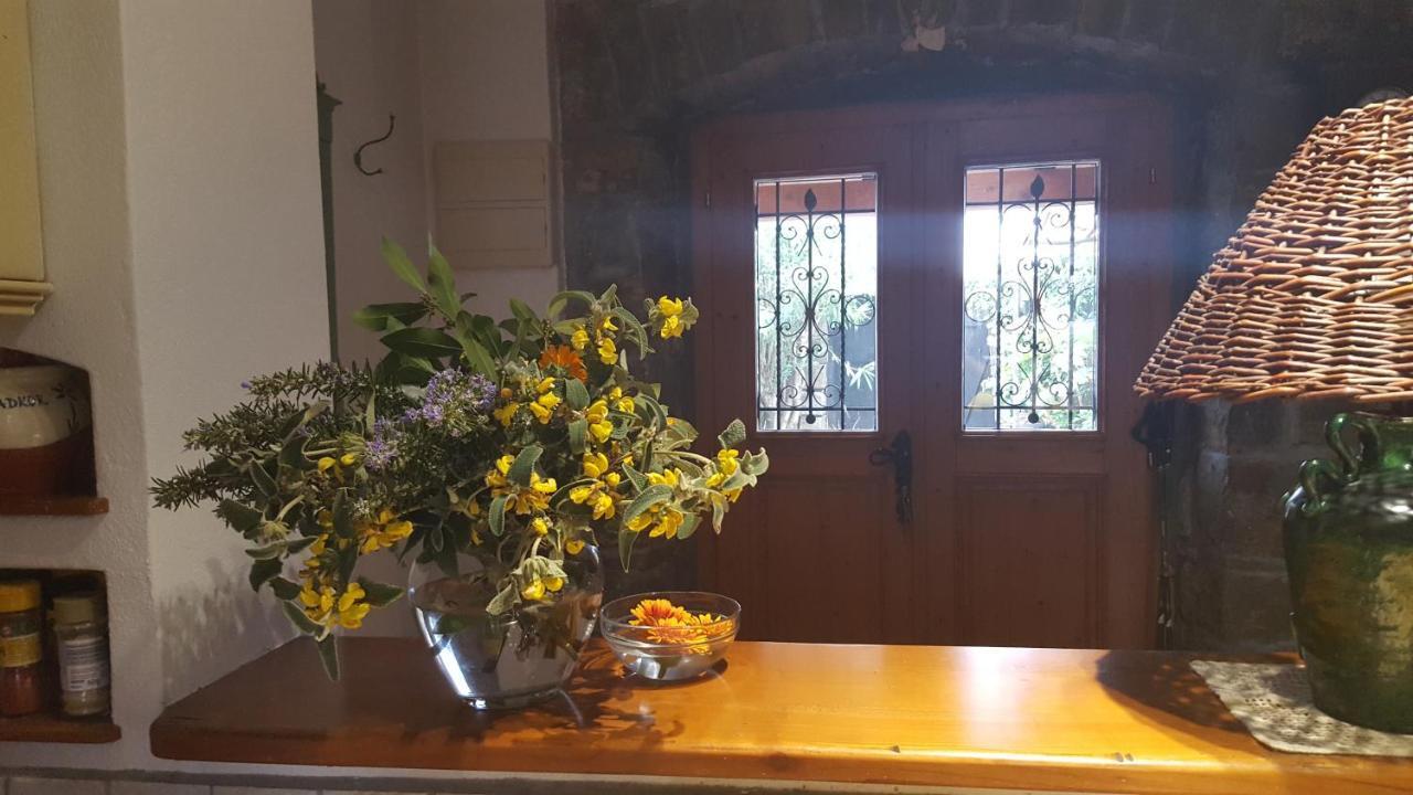 فيلا Istrian Stone House Sečovlje المظهر الخارجي الصورة
