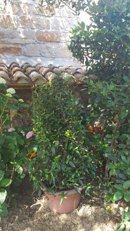 فيلا Istrian Stone House Sečovlje المظهر الخارجي الصورة