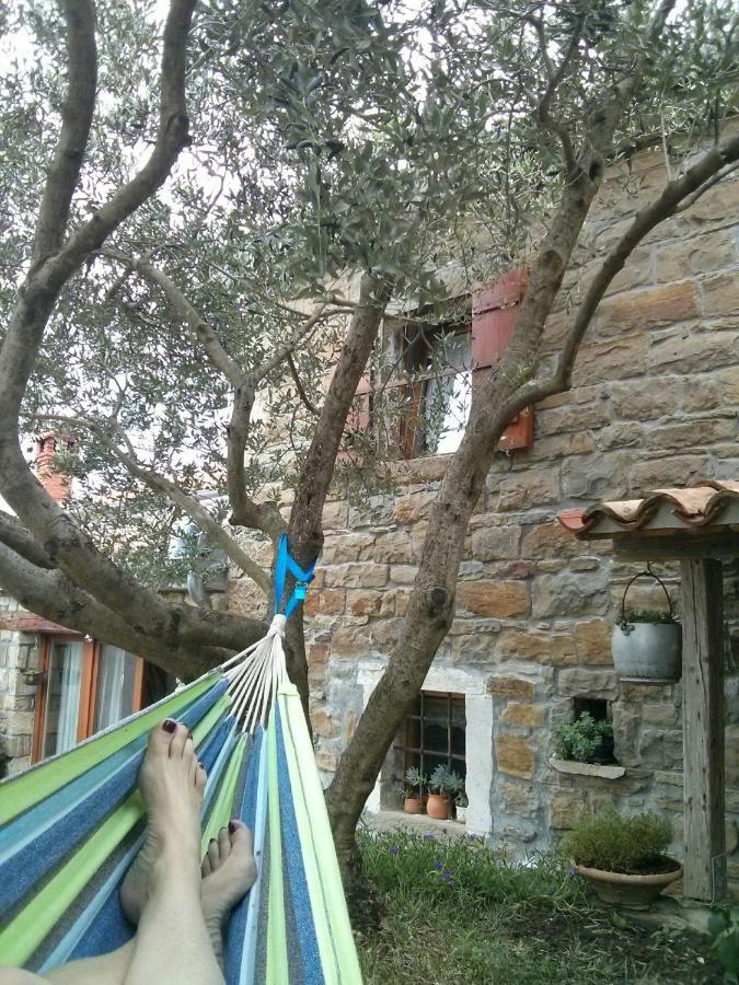 فيلا Istrian Stone House Sečovlje المظهر الخارجي الصورة