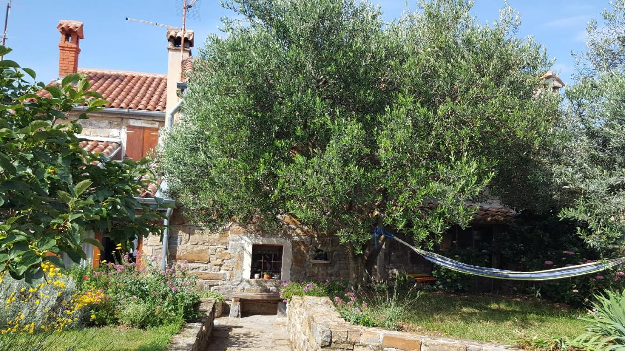فيلا Istrian Stone House Sečovlje المظهر الخارجي الصورة