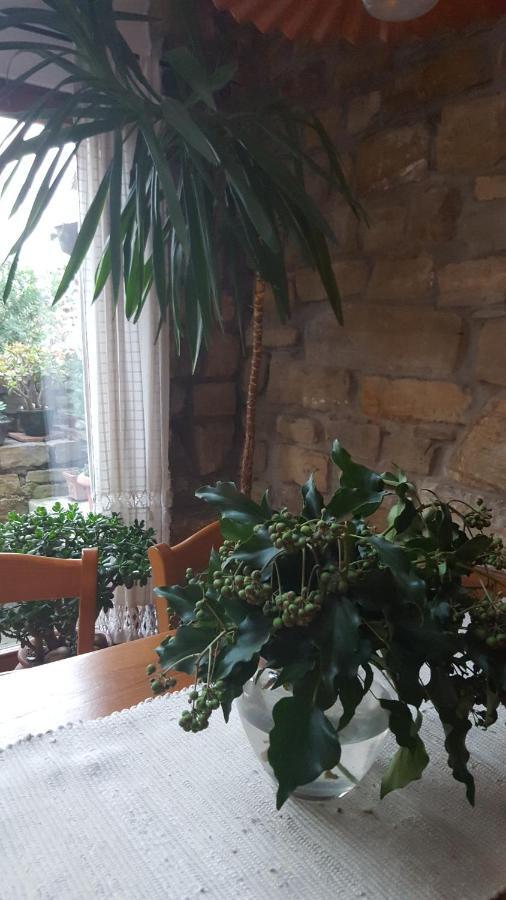 فيلا Istrian Stone House Sečovlje المظهر الخارجي الصورة